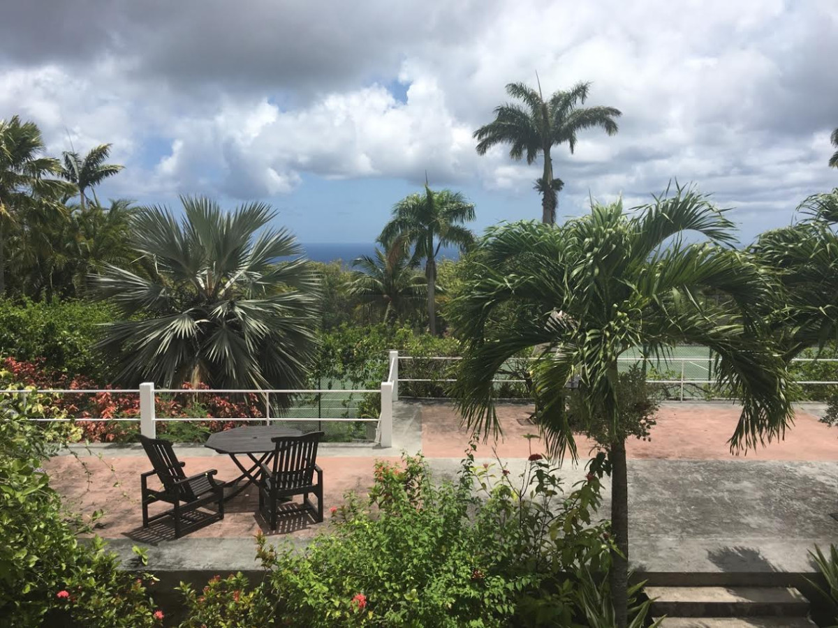 Patio with palm trees in St. Kitts